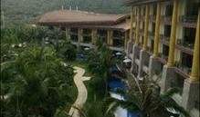 蓝色钱江放火案最新爆料,最新爆料揭示惊人内幕