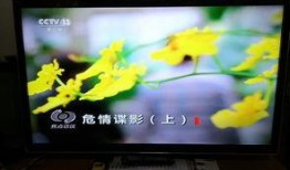 中央电视15台在线直播观看,精彩瞬间尽收眼底